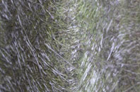 Podmoor fibreglass roof work